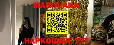 гидропоника Будённовск