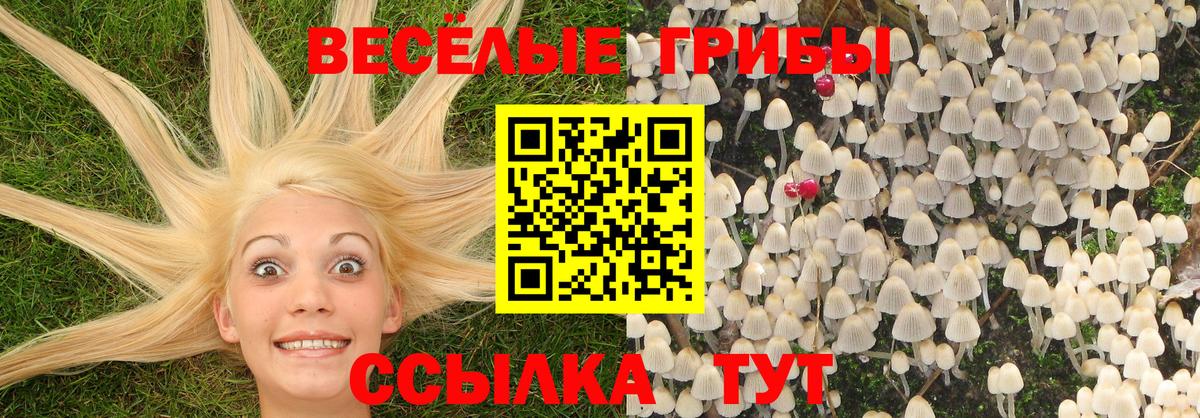 Янаул  Галлюциногенные грибы Psilocybe  Псилоцибиновые грибы MAGIC MUSHROOMS  Вход с VPN 
