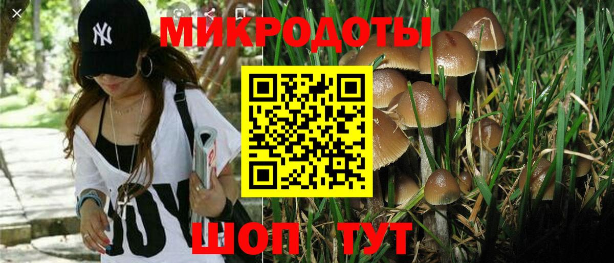 Галлюциногенные грибы MAGIC MUSHROOMS Янаул